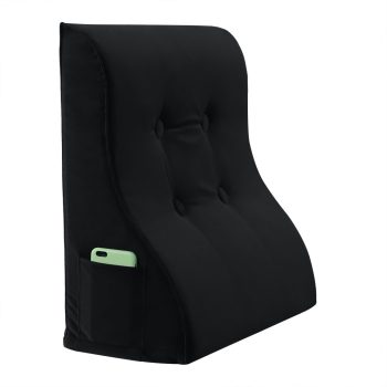 Versatile Back Pillow